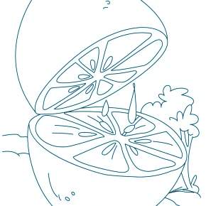 Раскраска Фрукты