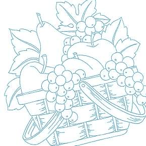 Раскраска Фрукты