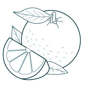 Раскраска Фрукты