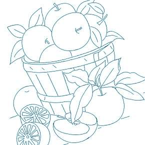 Раскраска Фрукты