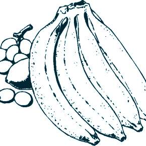 Раскраска Фрукты