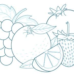 Раскраска Фрукты