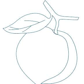 Раскраска Фрукты