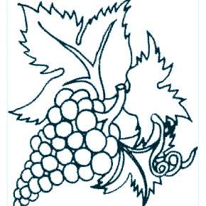 Раскраска Фрукты