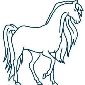 Раскраска Лошадки