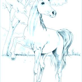 Раскраска Лошадки