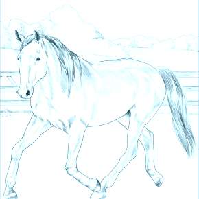 Раскраска Лошадки