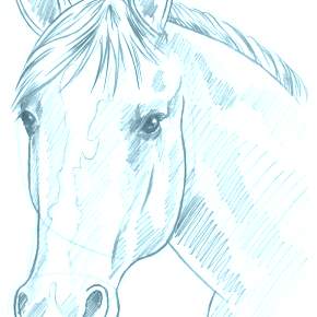 Раскраска Лошадки