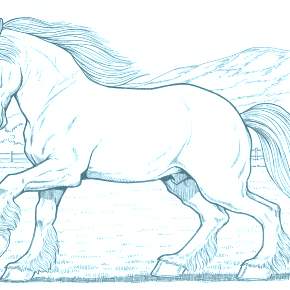 Раскраска Лошадки