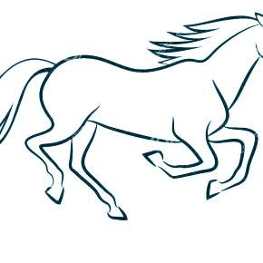Раскраска Лошадки
