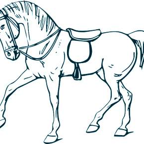 Раскраска Лошадки