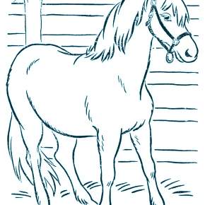 Раскраска Лошадки