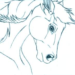 Раскраска Лошадки