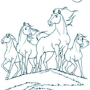 Раскраска Лошадки