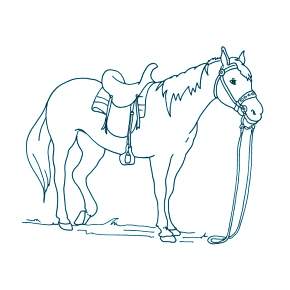 Раскраска Лошадки