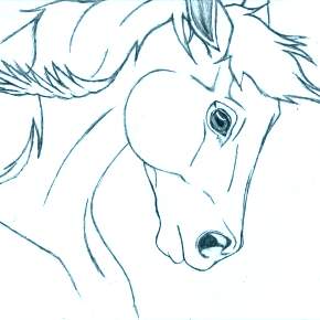 Раскраска Лошадки