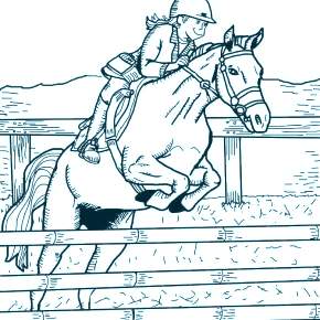 Раскраска Лошадки