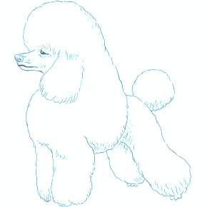 Раскраска Буратино Раскраска Буратино