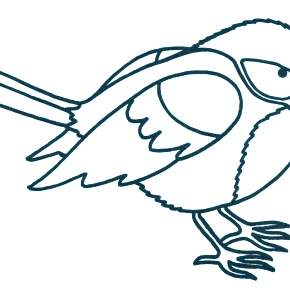 Раскраска Птицы Раскраска Птицы