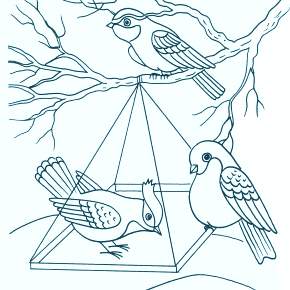 Раскраска Птицы Раскраска Птицы
