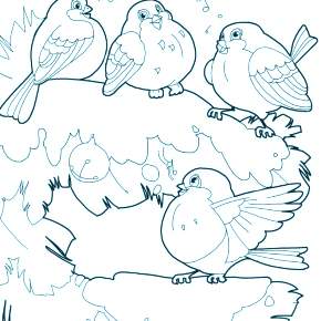 Раскраска Птицы Раскраска Птицы