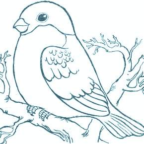Раскраска Птицы Раскраска Птицы