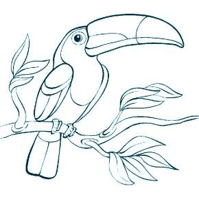 Раскраска Птицы Раскраска Птицы