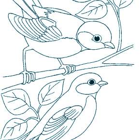Раскраска Птицы Раскраска Птицы