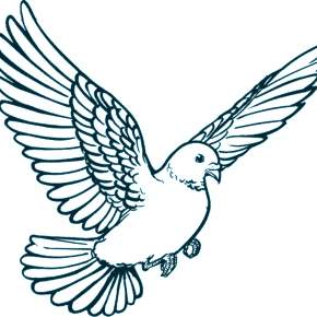 Раскраска Птицы Раскраска Птицы