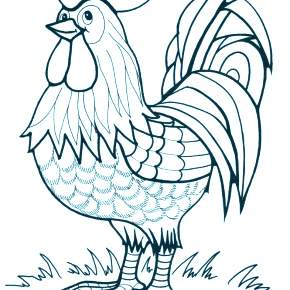 Раскраска Птицы Раскраска Птицы