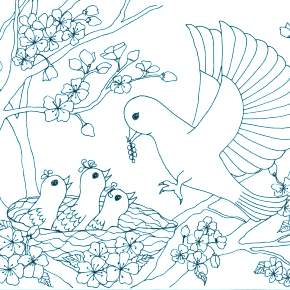Раскраска Птицы Раскраска Птицы