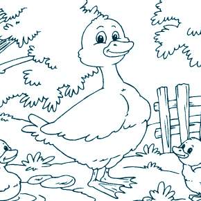 Раскраска Птицы Раскраска Птицы