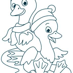 Раскраска Птицы Раскраска Птицы