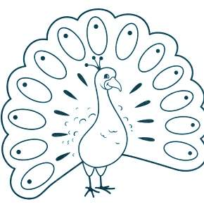 Раскраска Птицы Раскраска Птицы