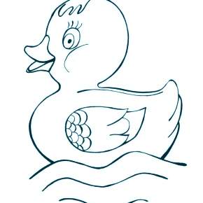 Раскраска Птицы Раскраска Птицы