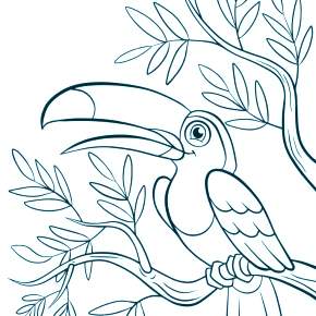 Раскраска Птицы Раскраска Птицы