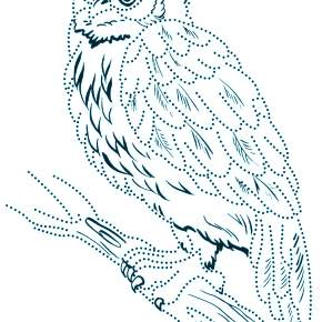 Раскраска Птицы Раскраска Птицы