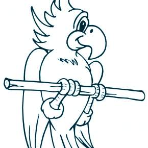 Раскраска Птицы Раскраска Птицы