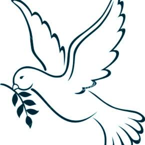 Раскраска Птицы Раскраска Птицы