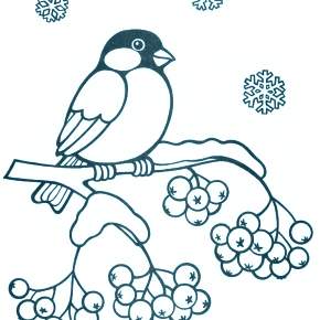 Раскраска Птицы Раскраска Птицы