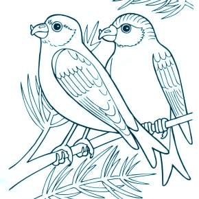 Раскраска Птицы Раскраска Птицы