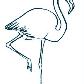 Раскраска Птицы Раскраска Птицы