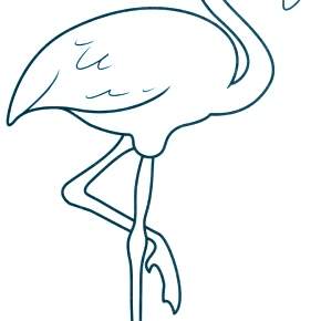 Раскраска Птицы Раскраска Птицы