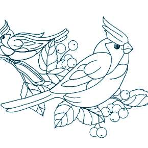 Раскраска Птицы Раскраска Птицы