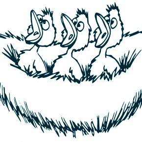 Раскраска Птицы Раскраска Птицы