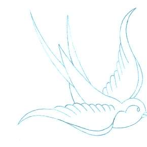 Раскраска Птицы Раскраска Птицы