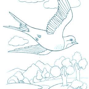 Раскраска Птицы Раскраска Птицы