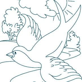 Раскраска Птицы Раскраска Птицы