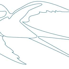 Раскраска Птицы Раскраска Птицы