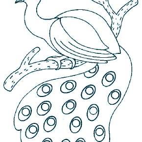 Раскраска Птицы Раскраска Птицы